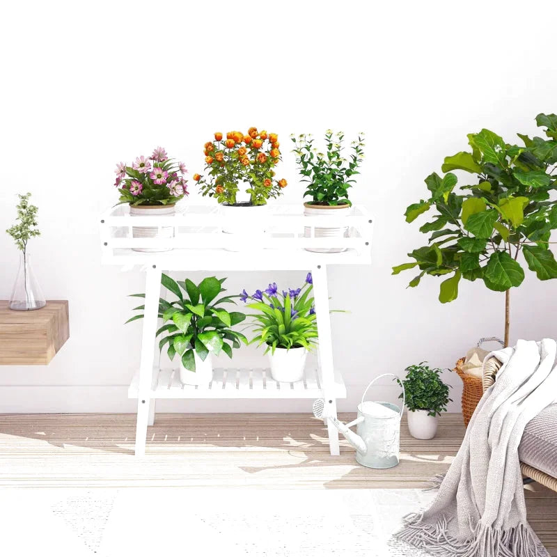 Plant display solutions